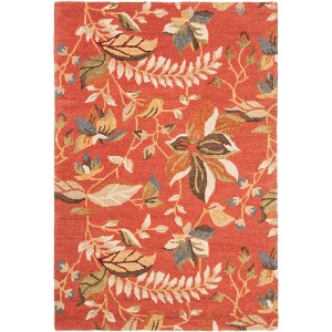 Blossom BLM913 Hand Hooked Indoor Rugs - Safavieh - 1 of 4