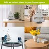 Briarwood Lane Bundle (4-pack) 8x8 Multipack S-M-L-Xl White Tree Magnetic Honeycomb Paper Decor Bundle Party Centerpiece Decoration - 3 of 4