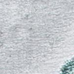 grey/green