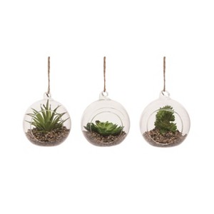 Transpac Large /Plastic Hanging Succulent Set of 3 Spring Home Decorations - 1 of 1
