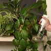 AquaMyst Fine Mist Continuous Spray Bottle 300ml (10.14 oz) - Ergonomic, Durable, Clear Plastic Plant Mister, Misting Water Bottle for Hair Stylists, - 3 of 4