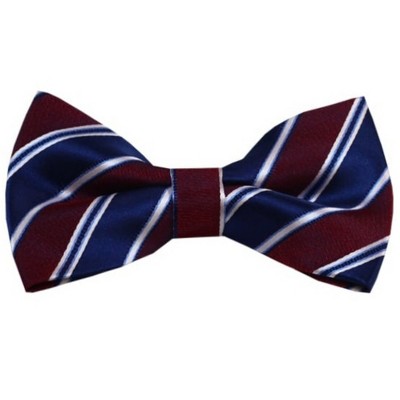 Men's Stripe Color 2.75 W And 4.75 L Inch Pre-Tied adjustable Bow Ties