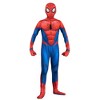 Spider-Man Kids' Iron Zentai Halloween Costume Jumpsuit - 2 of 4
