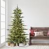 Puleo 6.5' Pre-Lit Artificial Aspen Fir Tree with Dual-Color LED Lights - 3 of 4