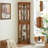 Lighted Corner Curio Cabinet, Display Cabinet with Shelves, Tempered Glass Door Corner China Cabinet for Living or Dining Room - Koiai - 3 of 4