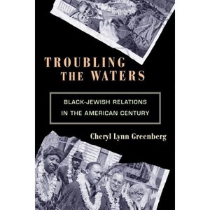 Troubling the Waters - (Politics and Society in Modern America) by  Cheryl Lynn Greenberg (Paperback) - 1 of 1