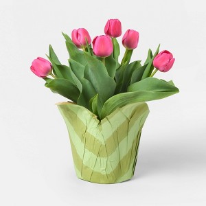 6" Potted Tulip - Good Little Garden™ - 1 of 3
