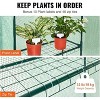 Walk-in Greenhouse, Portable Greenhouse with Shelves, High-Strength PE Material,with DoorS and Windows - 4 of 4