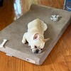 Barker Junior 4" Orthopedic Dog Bed - 3 of 4