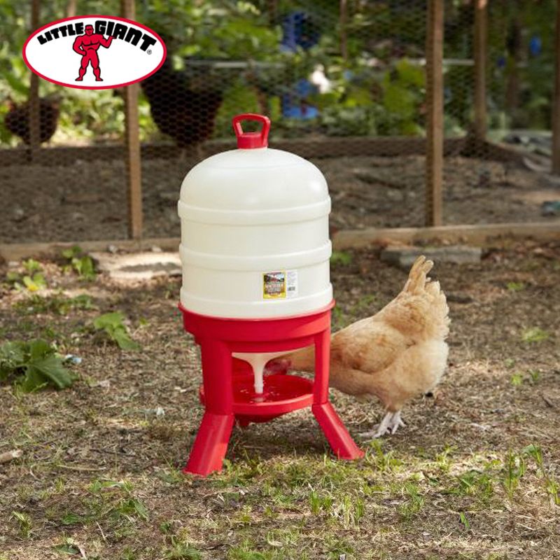 Little Giant DOMEWTR10 10 Gallon Tank Heavy Duty Poultry Chicken Gravity Waterer, Red, 5 of 7