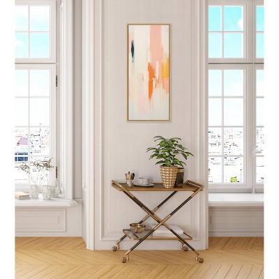 Sylvie Fiesta Abstract Natural Framed Canvas Art 18"x40"