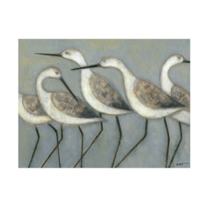 "Shore Birds I" Outdoor Canvas - 1 of 4
