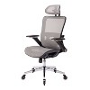 Ergonomic Mesh Office Chair-Adjustable Headrest with Flip-Up Arms, Tilt and lock Function, Lumbar Support and Blade Wheels, Metal legs-The Pop Home - 4 of 4