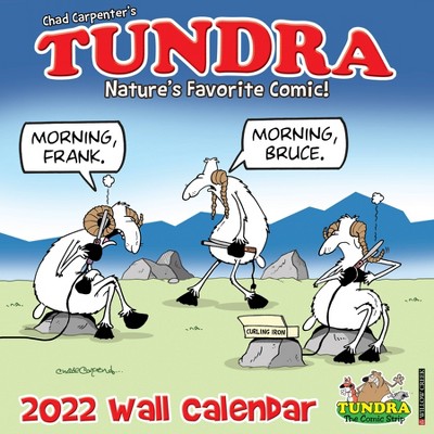 2022 Wall Calendar Tundra - Willow Creek Press
