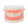 Unique Bargains Fake Teeth Grills Fashion Cross for Hip Hop Gift 1 Set - 2 of 4