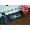 Evergreen Welcome Friends Frog Sassafras Indoor Outdoor Switch Doormat 1'10"x10" Multicolored - 2 of 2