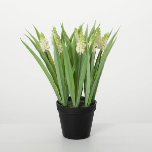 Sullivans Artificial Potted Ivory Grape Hyacinth 14"H; Cream - 1 of 3