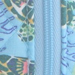 sea turtles and coral