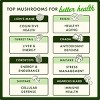 Swanson Triple Mushroom Complex - 3 Mushroom Formula, Increases Energy, Reduces Fatigue & Promotes A Healthy Mood, 60 Capsules - 3 of 4