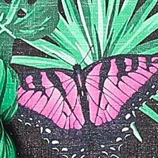 black palm leaves