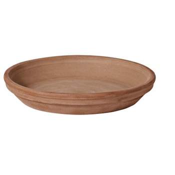 Deroma 1 in. H X 1 in. D X 6 in. D Clay Standard Plant Saucer Brown Deroma 1 in. H X 1 in. D X 6 in. D Clay Standard Plant Saucer Brown