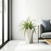 LeisureMod Tapered Square Planter Pot in Fiberstone with Drainage Holes for Indoor/Outdoor Use - Aloe Collection - 2 of 4