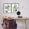 Stupell Industries Soft Eucalyptus Plant Ombre Leaves 2pc Framed Giclee Art Set - 3 of 4