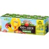 Apple & Eve Sesame Street Big Bird's Apple Fruit Juice - 8pk/4.23 fl oz - 2 of 4