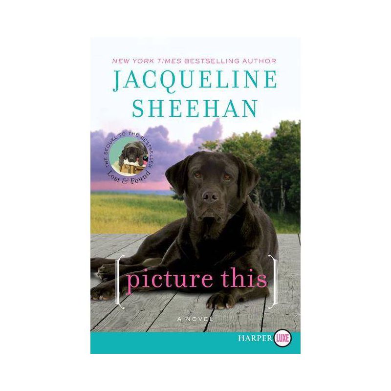 Picture This - (Peaks Island) Large Print by  Jacqueline Sheehan (Paperback), 1 of 2