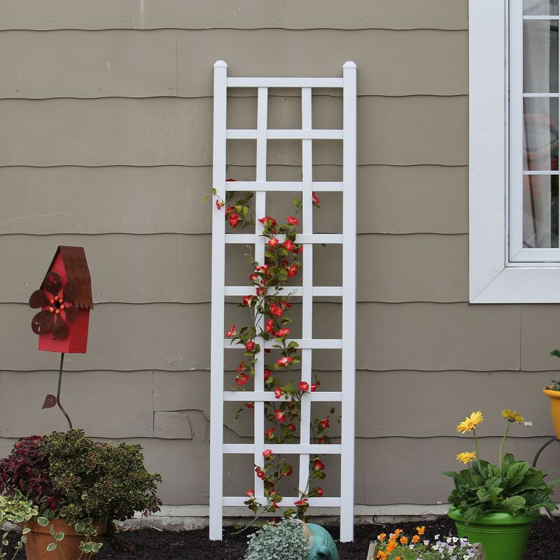 Dura-Trel Elmwood 22 by 75 Inch Indoor Outdoor Garden Trellis Plant Support for Vines and Climbing Plants, Flowers, and Vegetables, White, 5 of 7