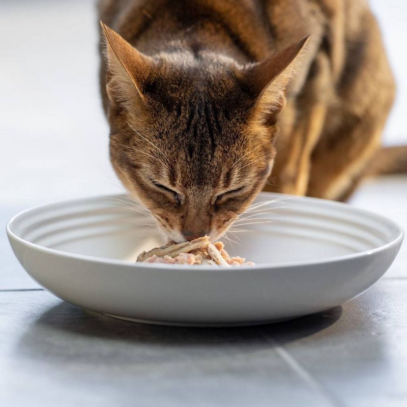 Reveal Pet Food Grain Free Limited Ingredients In a Natural Broth Premium Wet Cat Food Ocean Fish - 2.47oz, 4 of 7