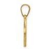 Black Bow Jewelry 14k Yellow Gold Plated Sterling Silver Virginia Wahoos NCAA Pendant - 2 of 4