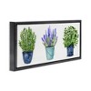 Stupell Industries Varied Potted Plants & Herbs, 31" x 14" - 3 of 4