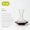 True Petite Wine Decanter, Glass Carafe, Red and White Wine, Wine Aeration, Bar Gadgets, Wine Lover Gifts, Holds 1 Standard Bottle, 28 oz - 2 of 4