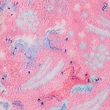 pink unicorn cheetah