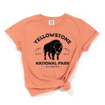 Simply Sage Market Women's Vintage Yellowstone National Park Short Sleeve Garment Dyed Tee