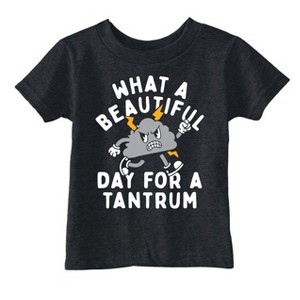 Toddler Funny T Shirts What A Beautiful Day for A Tantrum Sarcastic Graphic Novelty Tee for Young Kids - Crazy Dog Toddler T Shirt Sarcastic Gift - 1 of 4