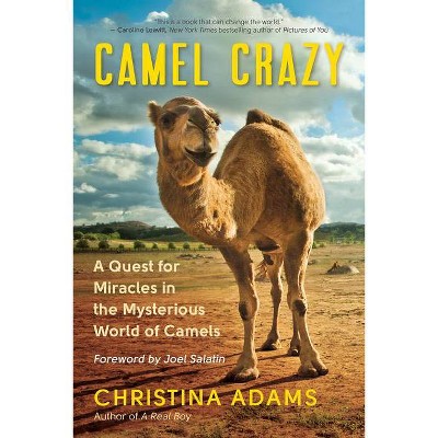 Camel Crazy - by  Christina Adams (Paperback)