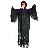 Halloween Express 5 ft Fire & Ice Skull Reaper Decoration - 2 of 3