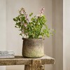 LuxenHome Rustic Ginger Root Brown Cement 8.9-Inch Tall Indoor and Outdoor Cylinder Vase - 3 of 4