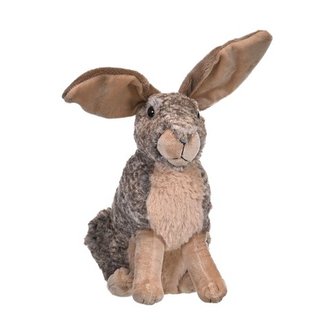 Hare teddy outlet