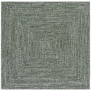 Braided BRA260  Machine Washable UV Resistant Stain Resistant Non-Shedding Hand Woven Indoor/Outdoor Rugs - Safavieh - 1 of 4