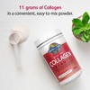 Garden of Life Grass Fed Beauty Collagen Powder - Cranberry Pomegranate - 9.52oz - 3 of 4