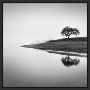 Amanti Art Tree in the Lake by Alexandre Manuel Canvas Wall Art Print Framed 22 x 22-in. - 1 of 4