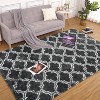 Shag Washable Area Rug, 7mm Modern Fluffy Plush Rug, Extra Soft Carpet, Non Slip, Non Shedding Rugs for Bedroom, Living Room, Nursery, Home Decor - 2 of 4