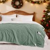 GentleSoft Heated Blanket Soft Ribbed Flannel Electric Blanket Gifts for Others - 2 of 4