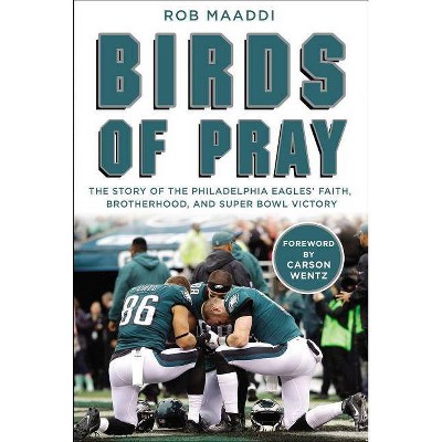 Birds of Pray - by  Rob Maaddi (Hardcover)