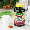 Spring Valley Extra Strength Turmeric Curcumin Complex Softgels, 1,000 mg, 90 Ct - 3 of 4