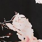 black flower