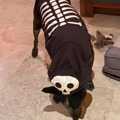 Guest review image 1 of 4, zoom in